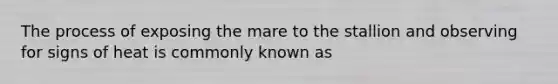 The process of exposing the mare to the stallion and observing for signs of heat is commonly known as