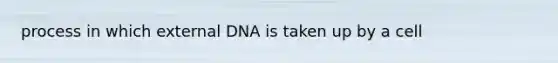 process in which external DNA is taken up by a cell