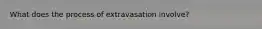 What does the process of extravasation involve?