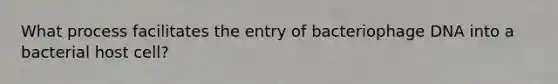 What process facilitates the entry of bacteriophage DNA into a bacterial host cell?