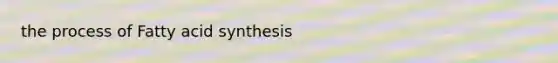 the process of Fatty acid synthesis