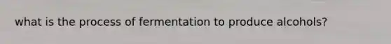 what is the process of fermentation to produce alcohols?