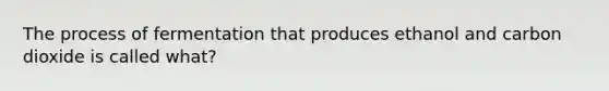 The process of fermentation that produces ethanol and carbon dioxide is called what?