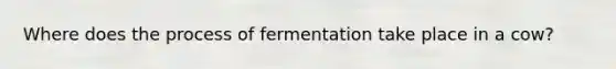 Where does the process of fermentation take place in a cow?
