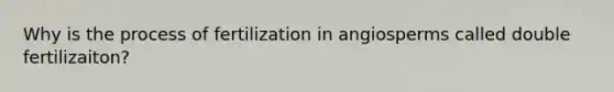 Why is the process of fertilization in angiosperms called double fertilizaiton?