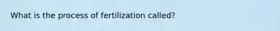 What is the process of fertilization called?