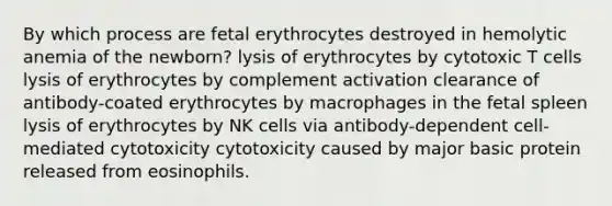 By which process are fetal erythrocytes destroyed in hemolytic anemia of the newborn? lysis of erythrocytes by cytotoxic T cells lysis of erythrocytes by complement activation clearance of antibody-coated erythrocytes by macrophages in the fetal spleen lysis of erythrocytes by NK cells via antibody-dependent cell-mediated cytotoxicity cytotoxicity caused by major basic protein released from eosinophils.