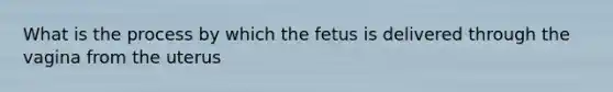 What is the process by which the fetus is delivered through the vagina from the uterus