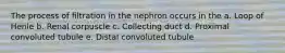 The process of filtration in the nephron occurs in the a. Loop of Henle b. Renal corpuscle c. Collecting duct d. Proximal convoluted tubule e. Distal convoluted tubule