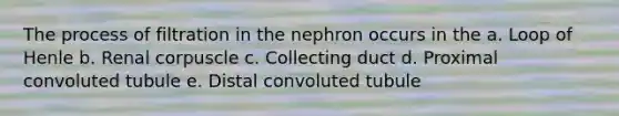 The process of filtration in the nephron occurs in the a. Loop of Henle b. Renal corpuscle c. Collecting duct d. Proximal convoluted tubule e. Distal convoluted tubule