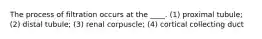 The process of filtration occurs at the ____. (1) proximal tubule; (2) distal tubule; (3) renal corpuscle; (4) cortical collecting duct