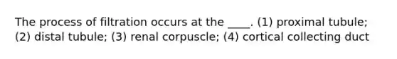 The process of filtration occurs at the ____. (1) proximal tubule; (2) distal tubule; (3) renal corpuscle; (4) cortical collecting duct