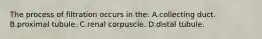 The process of filtration occurs in the: A.collecting duct. B.proximal tubule. C.renal corpuscle. D.distal tubule.