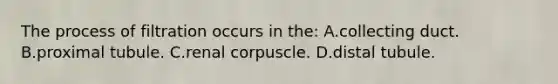 The process of filtration occurs in the: A.collecting duct. B.proximal tubule. C.renal corpuscle. D.distal tubule.