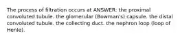The process of filtration occurs at ANSWER: the proximal convoluted tubule. the glomerular (Bowman's) capsule. the distal convoluted tubule. the collecting duct. the nephron loop (loop of Henle).