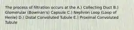 The process of filtration occurs at the A.) Collecting Duct B.) Glomerular (Bowman's) Capsule C.) Nephron Loop (Loop of Henle) D.) Distal Convoluted Tubule E.) Proximal Convoluted Tubule