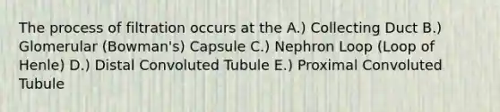 The process of filtration occurs at the A.) Collecting Duct B.) Glomerular (Bowman's) Capsule C.) Nephron Loop (Loop of Henle) D.) Distal Convoluted Tubule E.) Proximal Convoluted Tubule