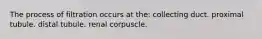 The process of filtration occurs at the: collecting duct. proximal tubule. distal tubule. renal corpuscle.