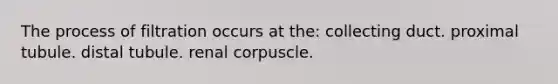 The process of filtration occurs at the: collecting duct. proximal tubule. distal tubule. renal corpuscle.