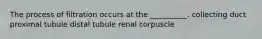 The process of filtration occurs at the __________. collecting duct proximal tubule distal tubule renal corpuscle