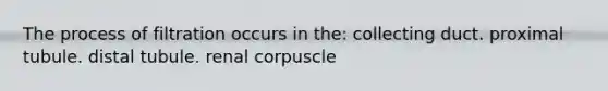 The process of filtration occurs in the: collecting duct. proximal tubule. distal tubule. renal corpuscle