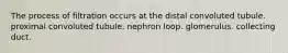The process of filtration occurs at the distal convoluted tubule. proximal convoluted tubule. nephron loop. glomerulus. collecting duct.