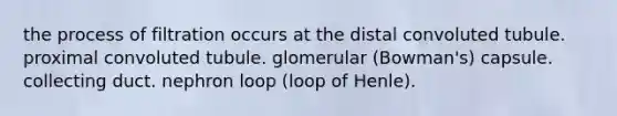 the process of filtration occurs at the distal convoluted tubule. proximal convoluted tubule. glomerular (Bowman's) capsule. collecting duct. nephron loop (loop of Henle).