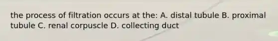 the process of filtration occurs at the: A. distal tubule B. proximal tubule C. renal corpuscle D. collecting duct