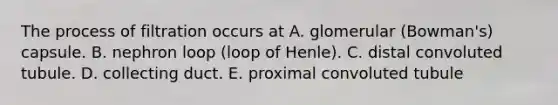 The process of filtration occurs at A. glomerular (Bowman's) capsule. B. nephron loop (loop of Henle). C. distal convoluted tubule. D. collecting duct. E. proximal convoluted tubule