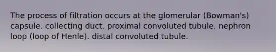 The process of filtration occurs at the glomerular (Bowman's) capsule. collecting duct. proximal convoluted tubule. nephron loop (loop of Henle). distal convoluted tubule.