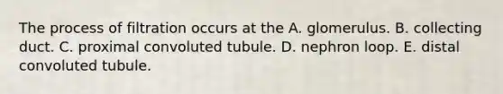 The process of filtration occurs at the A. glomerulus. B. collecting duct. C. proximal convoluted tubule. D. nephron loop. E. distal convoluted tubule.