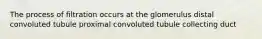 The process of filtration occurs at the glomerulus distal convoluted tubule proximal convoluted tubule collecting duct