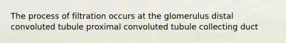 The process of filtration occurs at the glomerulus distal convoluted tubule proximal convoluted tubule collecting duct