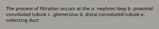 The process of filtration occurs at the a. nephron loop b. proximal convoluted tubule c. glomerulus d. distal convoluted tubule e. collecting duct