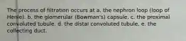 The process of filtration occurs at a. the nephron loop (loop of Henle). b. the glomerular (Bowman's) capsule. c. the proximal convoluted tubule. d. the distal convoluted tubule. e. the collecting duct.