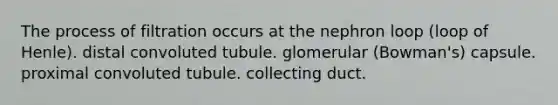 The process of filtration occurs at the nephron loop (loop of Henle). distal convoluted tubule. glomerular (Bowman's) capsule. proximal convoluted tubule. collecting duct.