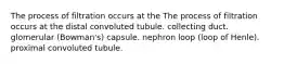 The process of filtration occurs at the The process of filtration occurs at the distal convoluted tubule. collecting duct. glomerular (Bowman's) capsule. nephron loop (loop of Henle). proximal convoluted tubule.