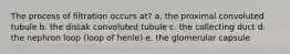 The process of filtration occurs at? a. the proximal convoluted tubule b. the distak convoluted tubule c. the collecting duct d. the nephron loop (loop of henle) e. the glomerular capsule