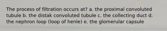 The process of filtration occurs at? a. the proximal convoluted tubule b. the distak convoluted tubule c. the collecting duct d. the nephron loop (loop of henle) e. the glomerular capsule