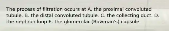 The process of filtration occurs at A. the proximal convoluted tubule. B. the distal convoluted tubule. C. the collecting duct. D. the nephron loop E. the glomerular (Bowman's) capsule.