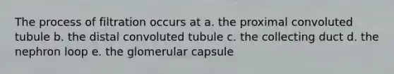 The process of filtration occurs at a. the proximal convoluted tubule b. the distal convoluted tubule c. the collecting duct d. the nephron loop e. the glomerular capsule