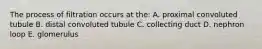 The process of filtration occurs at the: A. proximal convoluted tubule B. distal convoluted tubule C. collecting duct D. nephron loop E. glomerulus