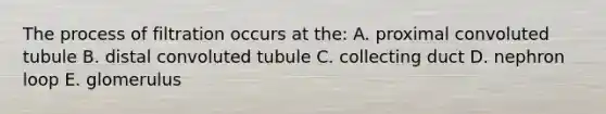 The process of filtration occurs at the: A. proximal convoluted tubule B. distal convoluted tubule C. collecting duct D. nephron loop E. glomerulus