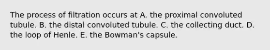 The process of filtration occurs at A. the proximal convoluted tubule. B. the distal convoluted tubule. C. the collecting duct. D. the loop of Henle. E. the Bowman's capsule.