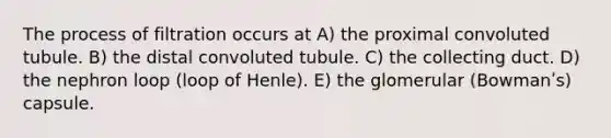 The process of filtration occurs at A) the proximal convoluted tubule. B) the distal convoluted tubule. C) the collecting duct. D) the nephron loop (loop of Henle). E) the glomerular (Bowmanʹs) capsule.