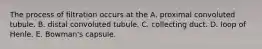 The process of filtration occurs at the A. proximal convoluted tubule. B. distal convoluted tubule. C. collecting duct. D. loop of Henle. E. Bowman's capsule.