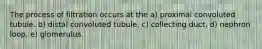 The process of filtration occurs at the a) proximal convoluted tubule. b) distal convoluted tubule. c) collecting duct. d) nephron loop. e) glomerulus.