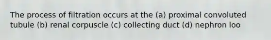 The process of filtration occurs at the (a) proximal convoluted tubule (b) renal corpuscle (c) collecting duct (d) nephron loo