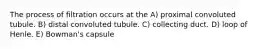 The process of filtration occurs at the A) proximal convoluted tubule. B) distal convoluted tubule. C) collecting duct. D) loop of Henle. E) Bowman's capsule