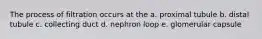 The process of filtration occurs at the a. proximal tubule b. distal tubule c. collecting duct d. nephron loop e. glomerular capsule